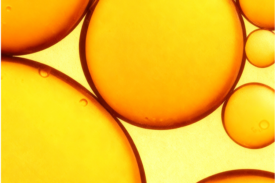 Omega-3 for Dogs Skin: Benefits, Dosage & How Long It Takes