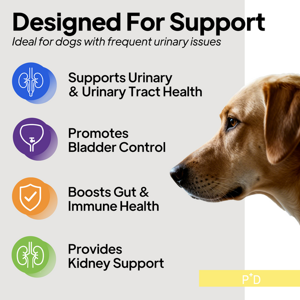 URINARY DEFENDER