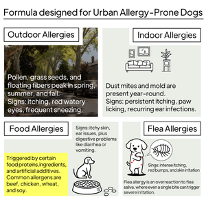 ALLERGY DEFEND PRO