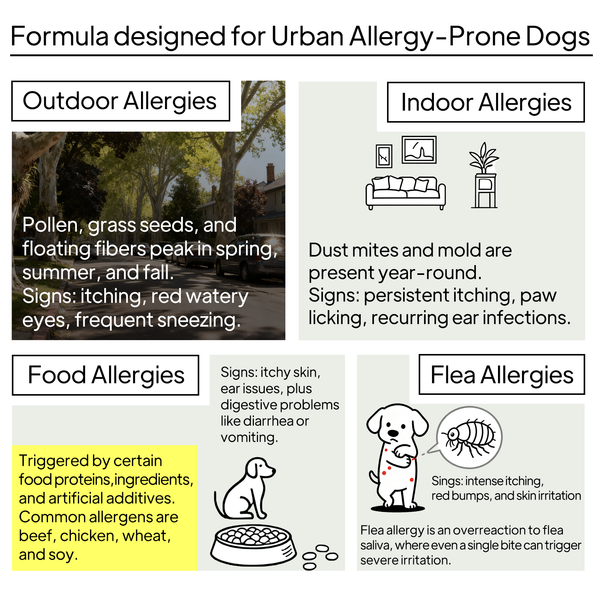 ALLERGY DEFEND PRO